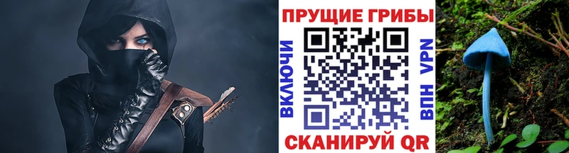 Псилоцибиновые грибы Cubensis  цены наркотик  Куртамыш 